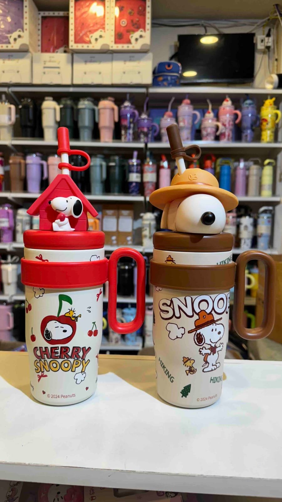 WhatsApp Image 2026-01-18 at 16.18.42